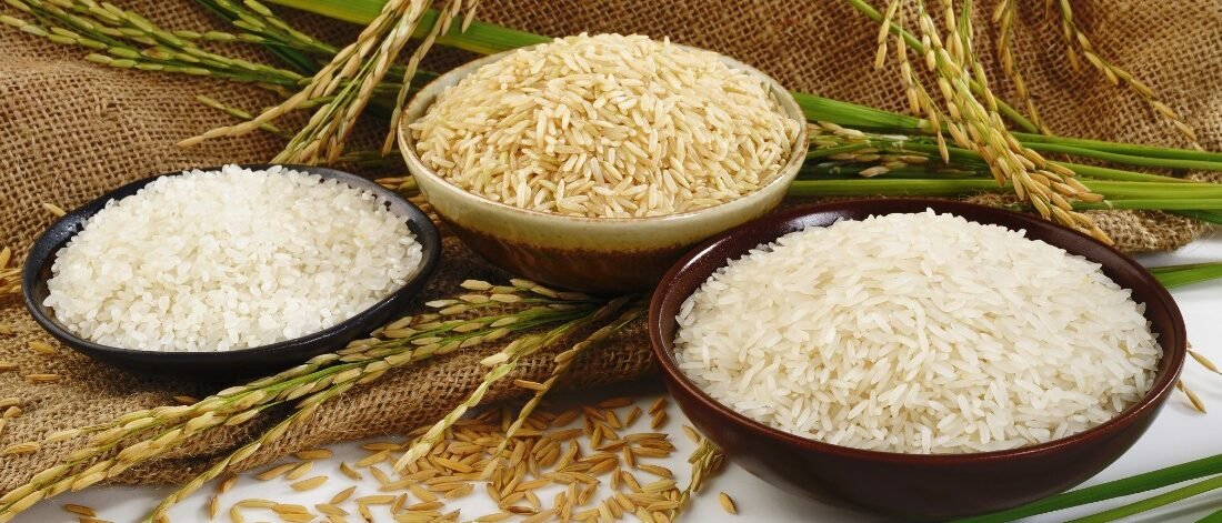 Rice (1)