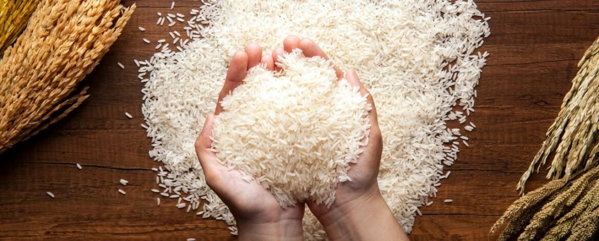 rice rice