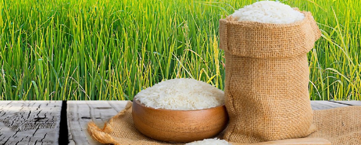 How-can-I-start-my-own-rice-export-business Largest Rice Exporter in Dubai