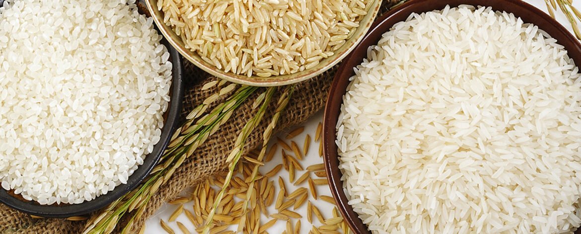 How-do-I-start-rice-export-business-in-india