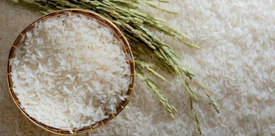 rice_getty_2-sixteen_nine-sixteen_nine rice_getty_2-sixteen_nine-sixteen_nine