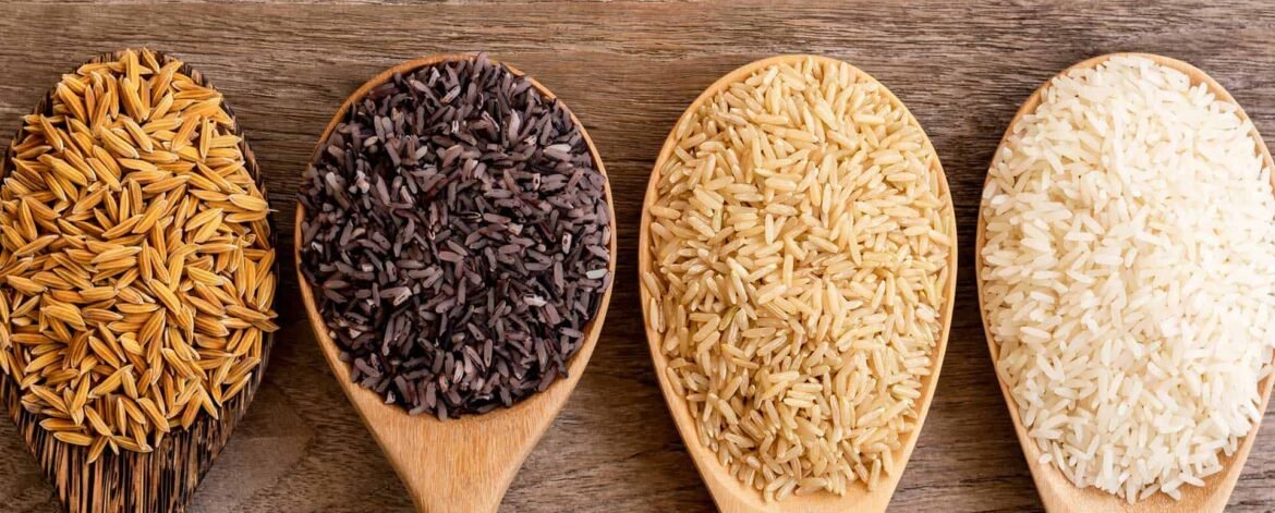 The-Different-Colours-of-Rice Top Rice Exporter in Japan