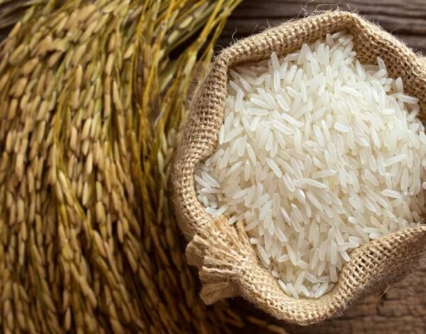 Best Exporter & Importer of rice in India