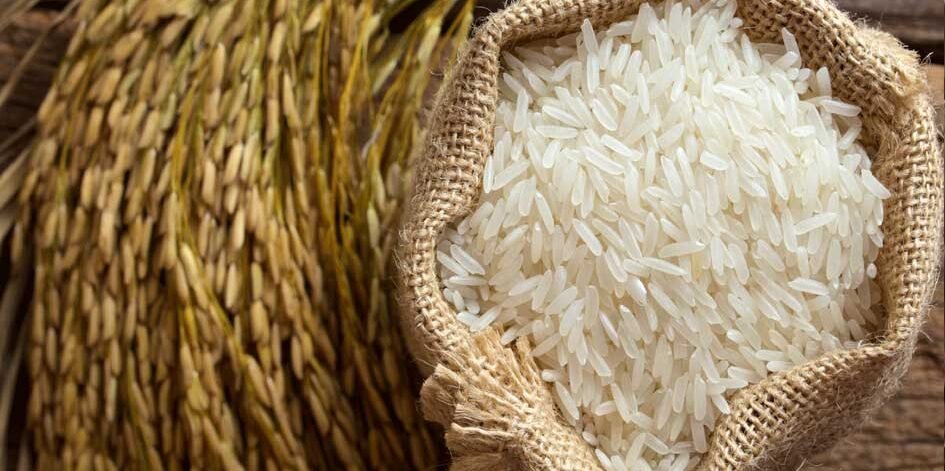 Rice-Parts Best Exporter & Importer of rice in India