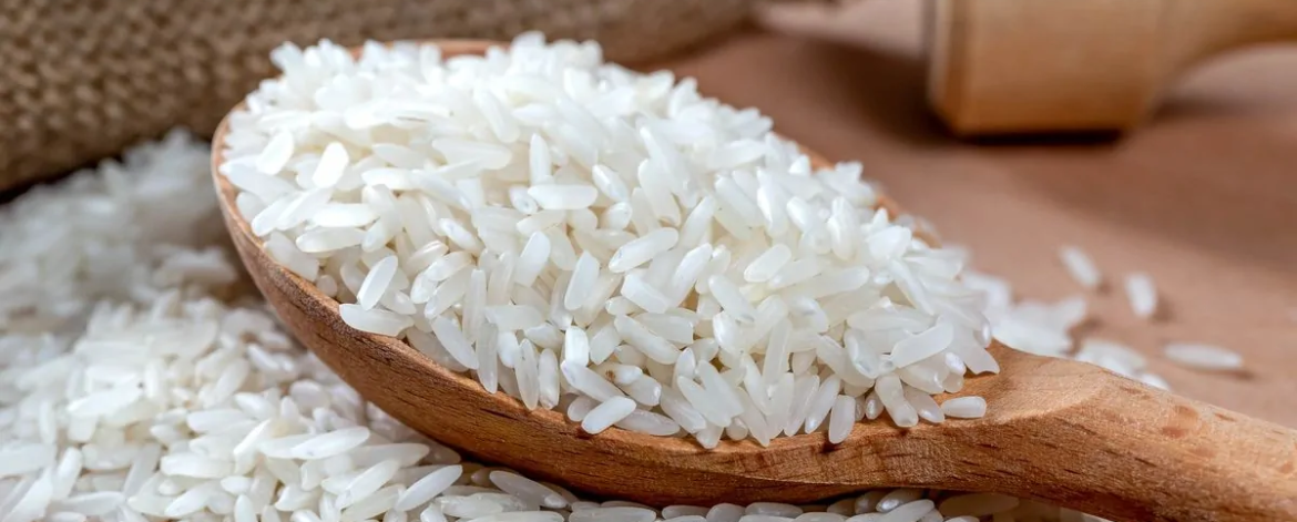 spoon-rice Basmati Rice exporter in India