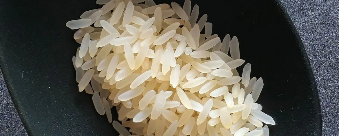 is-rice-gluten-free Renowned Manufacturer and Exporter of Basmati Rice