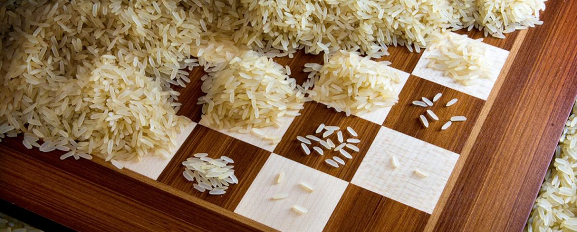 2cc0640a-cbce-456d-be05-b2f11e20a874_rice_piece_cover Leading the Role of The Biggest Rice Exporter in Middle East