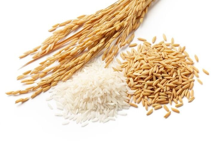 de9152b5f8504366f0f61ce1ec0094b9 Best 1121 Basmati Rice exporter