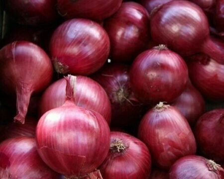 Fresh Onion Fresh Onion