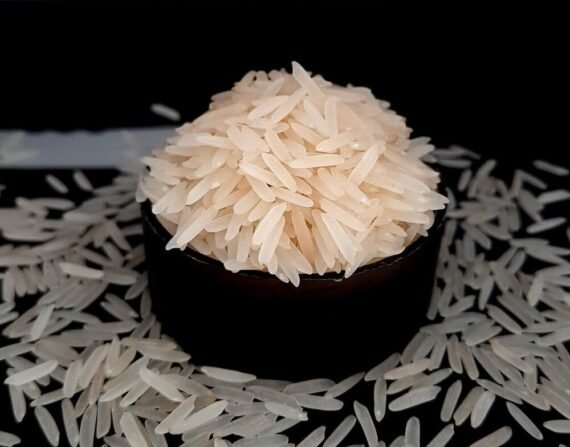 1121-Creamy-Sella-Basmati-Rice-Organic-570x447