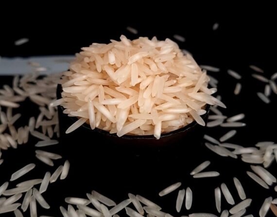 1121-Steam-Basmati-Rice-570x447 1121-Steam-Basmati-Rice-570x447