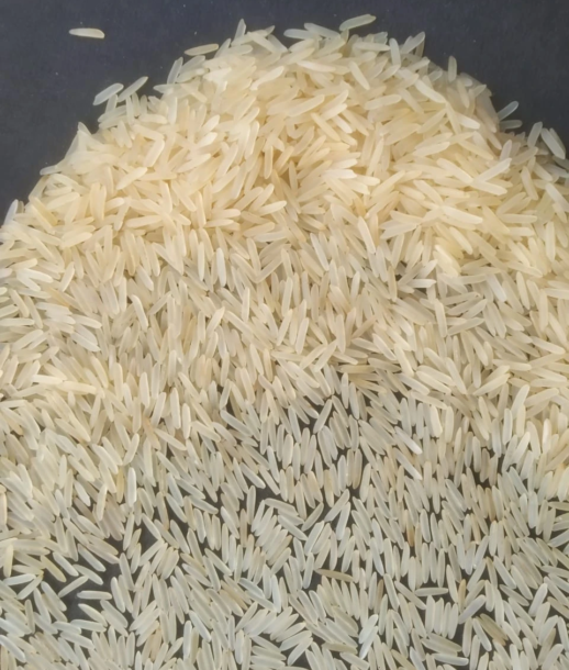 1121-white-sella-basmati-rice-for-export-quality-1121-creamy-white-sella-basmati-rice1-0534877001618382120.jpeg 1121-white-sella-basmati-rice-for-export-quality-1121-creamy-white-sella-basmati-rice1-0534877001618382120.jpeg