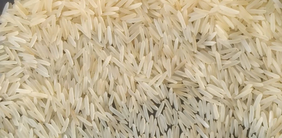 1121-white-sella-basmati-rice-for-export-quality-1121-creamy-white-sella-basmati-rice1-0534877001618382120.jpeg 1121-white-sella-basmati-rice-for-export-quality-1121-creamy-white-sella-basmati-rice1-0534877001618382120.jpeg