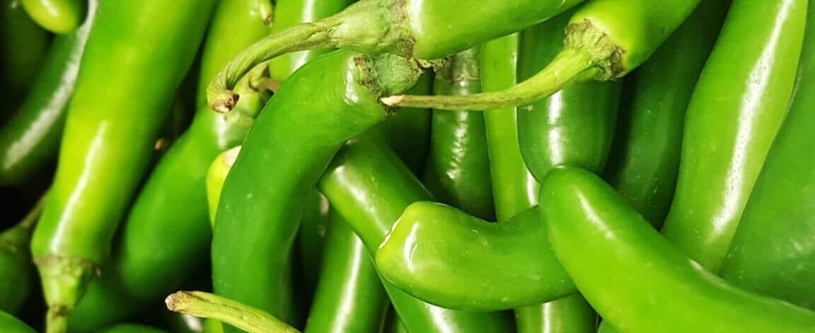 Green Chilli Green Chilli