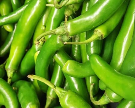 Green Chilli Green Chilli
