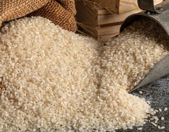 Idli-Rice-570x447 Idli-Rice-570x447
