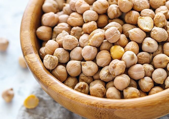Large-sized chickpeas