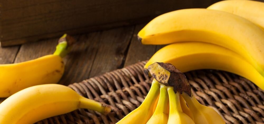 Raw Organic Bunch of Bananas