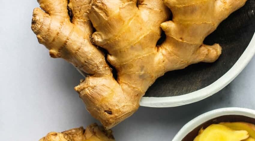 Fresh Ginger Fresh Ginger