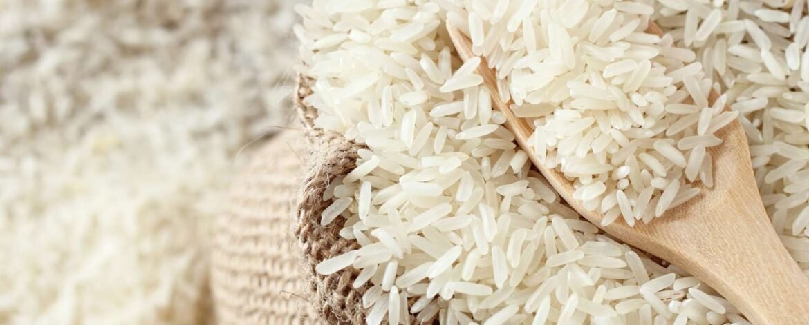 Supplying Quality as the Top Non Basmati Rice Supplier in Gulf Countries Supplying Quality as the Top Non Basmati Rice Supplier in Gulf Countries