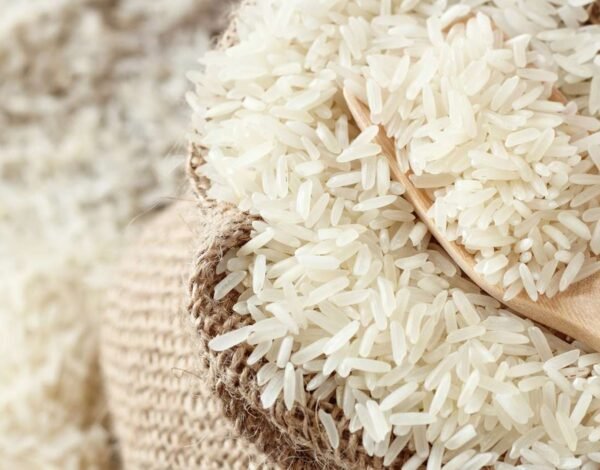 Supplying Quality as the Top Non Basmati Rice Supplier in Gulf Countries