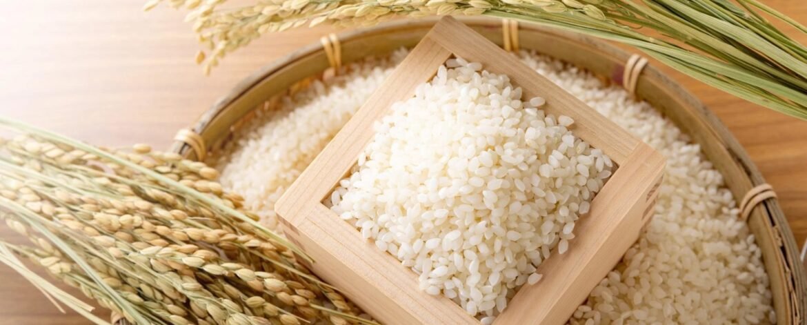 Top Private Label Rice Supplier in Middle East Top Private Label Rice Supplier in Middle East