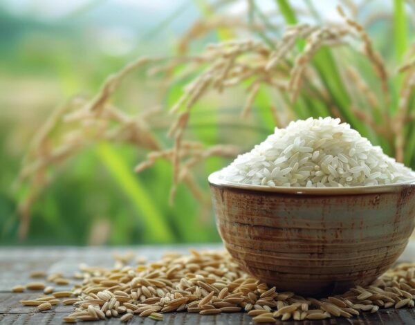 Sunrise Edible Crowned as the Best Basmati Rice Exporter in Middle East