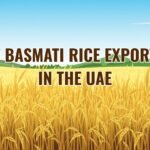 Best Basmati Rice Exporters in UAE