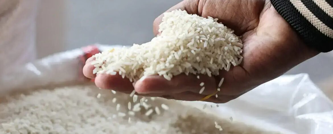 Top Jeerakasala Rice Exporter in Middle East
