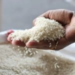 Top Jeerakasala Rice Exporter in Middle East