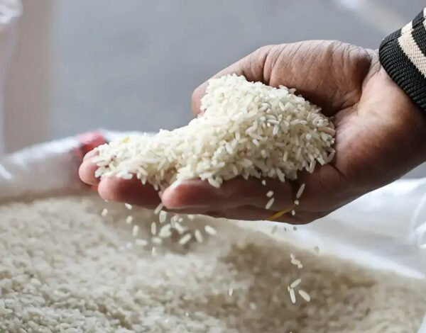 Top Jeerakasala Rice Exporter in Middle East