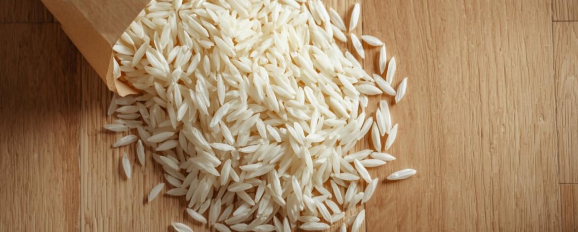 Your paragraph text (24)