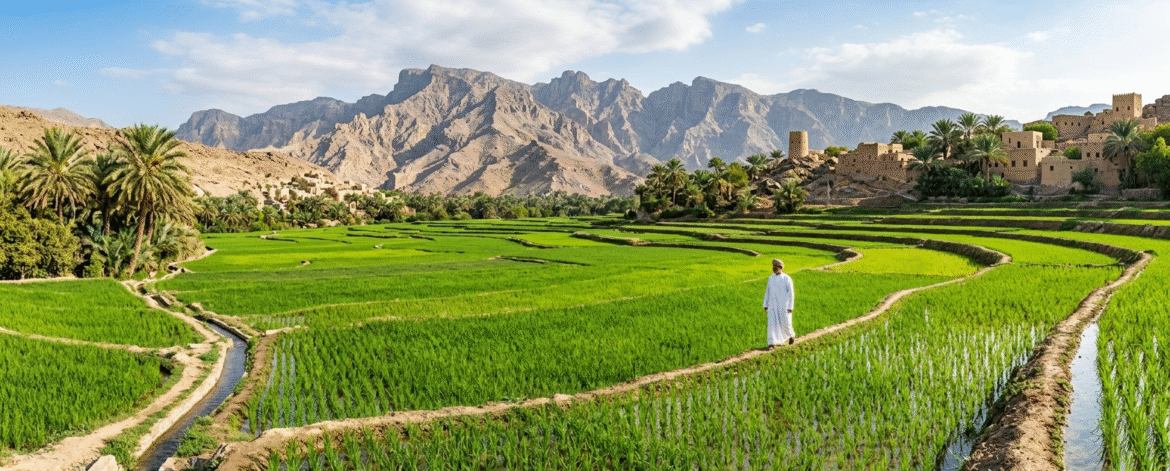 Leading Exporter of 1121 Sella Basmati Rice in Oman