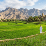 Leading Exporter of 1121 Sella Basmati Rice in Oman